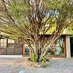 Olive Tree Oasis - Coastal Charm & Sea Views *