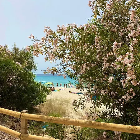 Seaside Sunset Cove - Your Own Slice Of Paradise! Torre delle Stelle