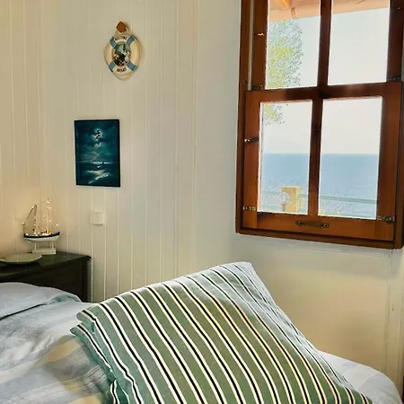 Olive Tree Oasis - Coastal Charm & Sea Views 펜션 *