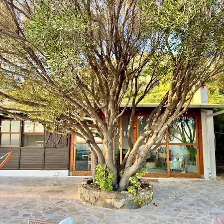 Olive Tree Oasis - Coastal Charm & Sea Views *